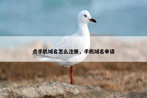 点手机域名怎么注册，手机域名申请