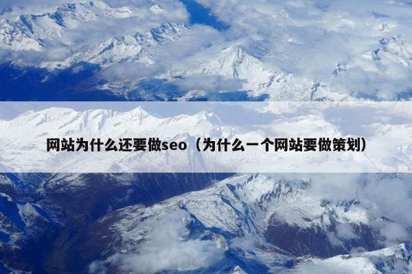 网站为什么还要做seo（为什么一个网站要做策划）