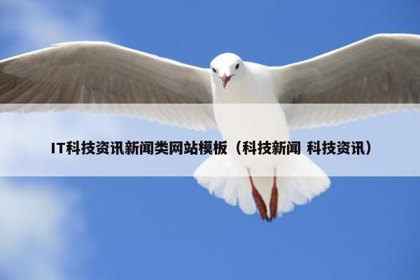 IT科技资讯新闻类网站模板（科技新闻 科技资讯）