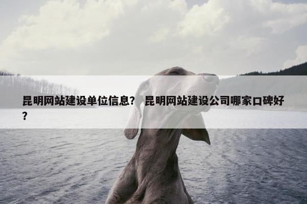 昆明网站建设单位信息？ 昆明网站建设公司哪家口碑好？