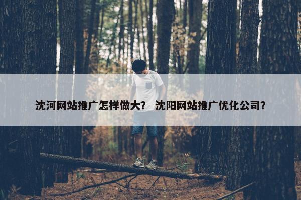 沈河网站推广怎样做大？ 沈阳网站推广优化公司？