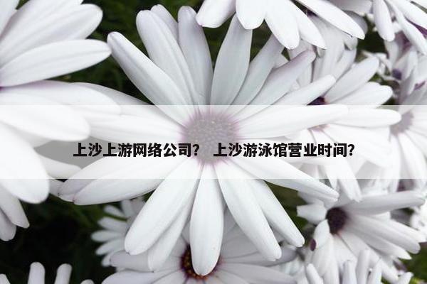 上沙上游网络公司？ 上沙游泳馆营业时间？
