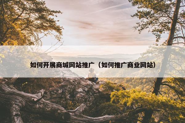 如何开展商城网站推广（如何推广商业网站）