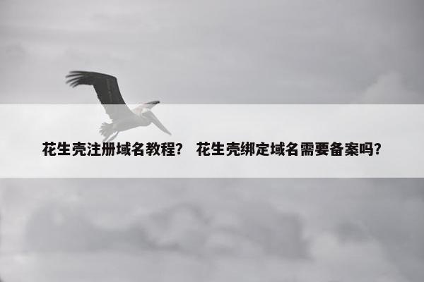 花生壳注册域名教程？ 花生壳绑定域名需要备案吗？