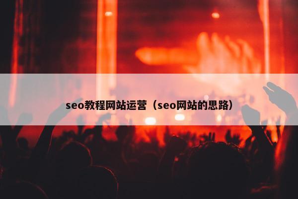 seo教程网站运营（seo网站的思路）