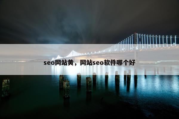 seo网站黄，网站seo软件哪个好