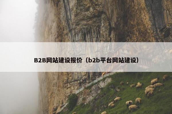B2B网站建设报价（b2b平台网站建设）