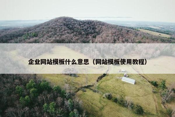 企业网站模板什么意思（网站模板使用教程）