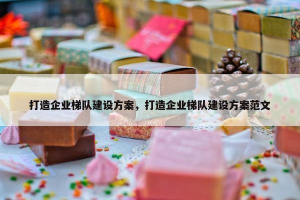 打造企业梯队建设方案，打造企业梯队建设方案范文