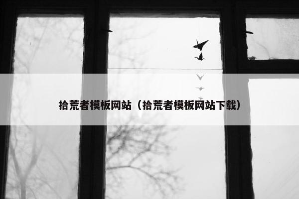 拾荒者模板网站（拾荒者模板网站下载）