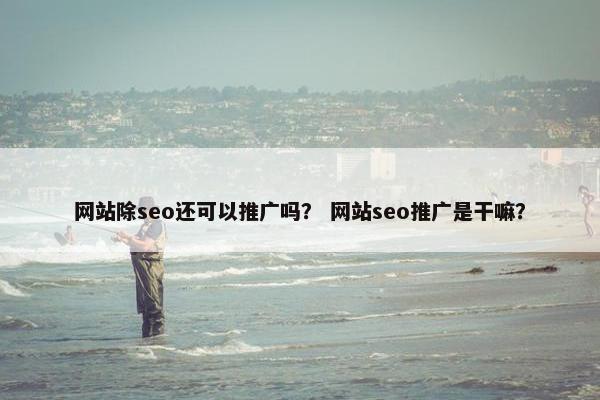 网站除seo还可以推广吗？ 网站seo推广是干嘛？