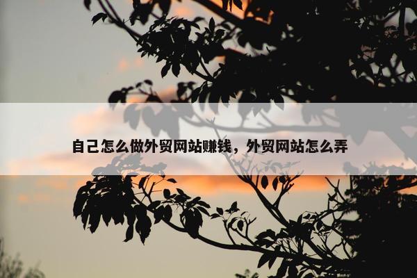 自己怎么做外贸网站赚钱，外贸网站怎么弄