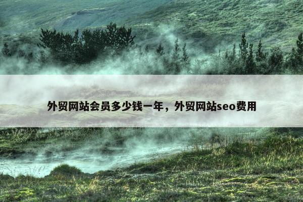 外贸网站会员多少钱一年，外贸网站seo费用