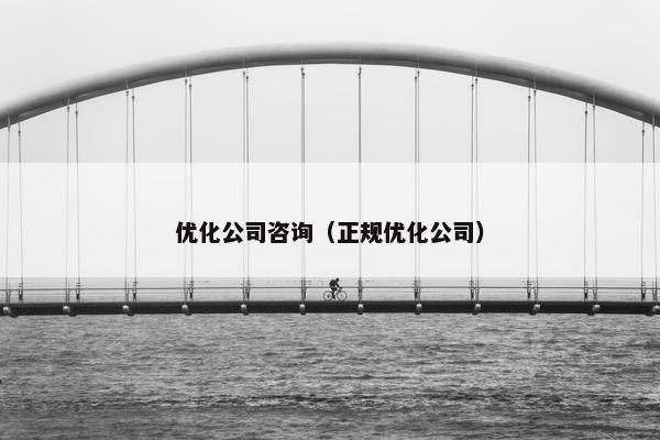 优化公司咨询（正规优化公司）