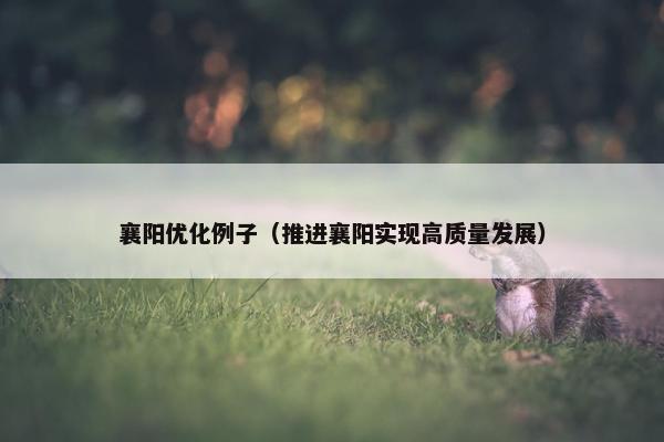 襄阳优化例子（推进襄阳实现高质量发展）