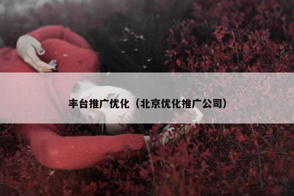 丰台推广优化（北京优化推广公司）