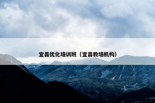 宜昌优化培训班（宜昌教培机构）