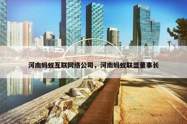 河南蚂蚁互联网络公司，河南蚂蚁联盟董事长