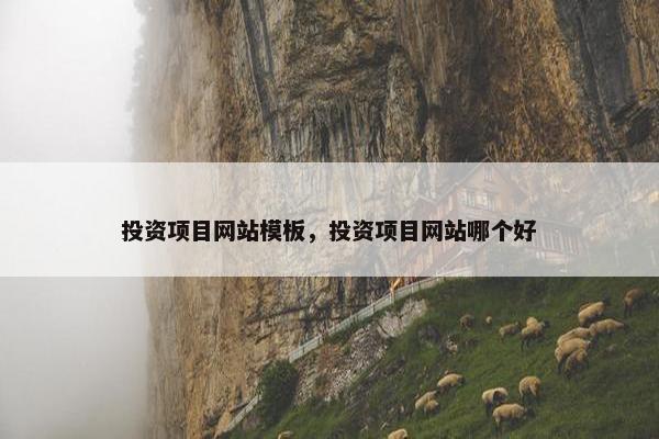 投资项目网站模板，投资项目网站哪个好