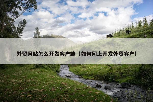 外贸网站怎么开发客户端（如何网上开发外贸客户）
