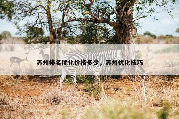 苏州排名优化价格多少，苏州优化技巧