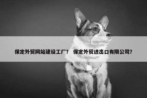 保定外贸网站建设工厂？ 保定外贸进出口有限公司？