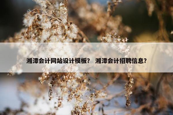 湘潭会计网站设计模板？ 湘潭会计招聘信息？