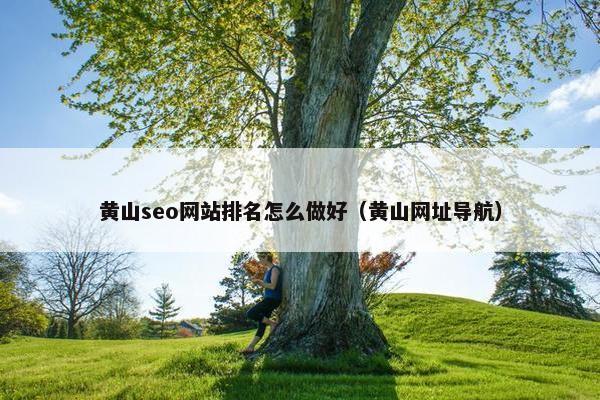 黄山seo网站排名怎么做好（黄山网址导航）