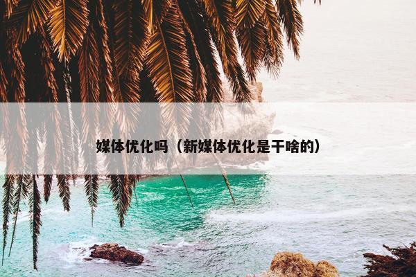 媒体优化吗（新媒体优化是干啥的）