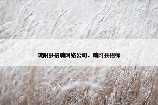 疏附县招聘网络公司，疏附县招标