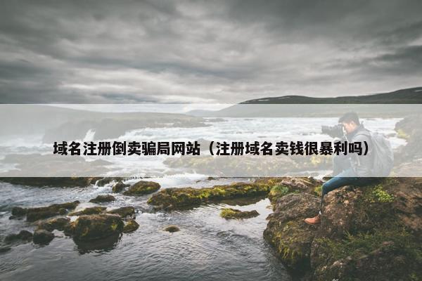 域名注册倒卖骗局网站（注册域名卖钱很暴利吗）