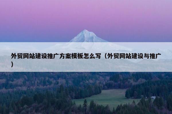 外贸网站建设推广方案模板怎么写（外贸网站建设与推广）