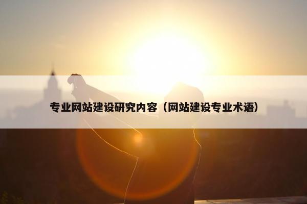 专业网站建设研究内容（网站建设专业术语）