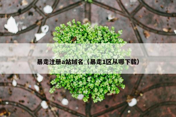 暴走注册a站域名（暴走1区从哪下载）