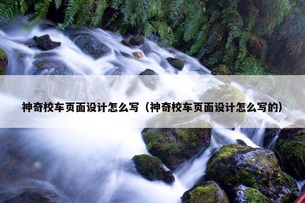 神奇校车页面设计怎么写（神奇校车页面设计怎么写的）