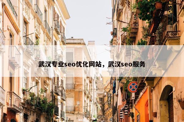 武汉专业seo优化网站，武汉seo服务
