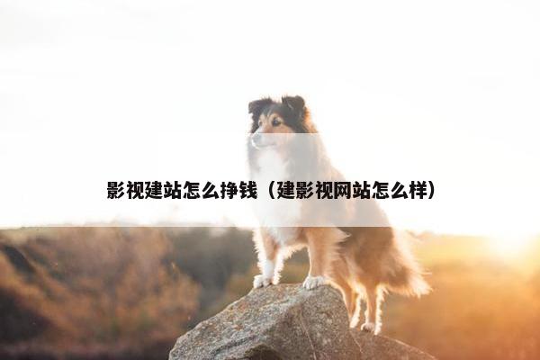 影视建站怎么挣钱（建影视网站怎么样）