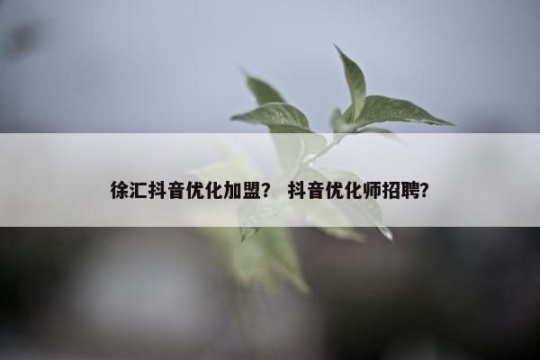 徐汇抖音优化加盟？ 抖音优化师招聘？