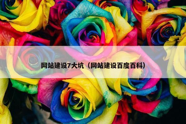 网站建设7大坑（网站建设百度百科）