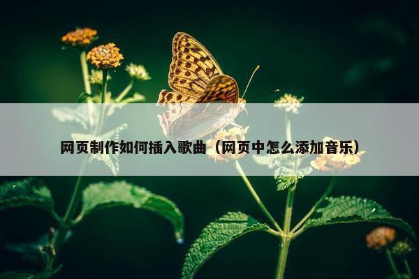 网页制作如何插入歌曲（网页中怎么添加音乐）