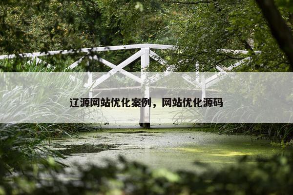 辽源网站优化案例，网站优化源码