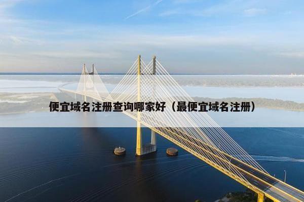 便宜域名注册查询哪家好（最便宜域名注册）