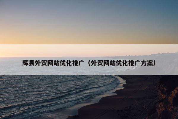 辉县外贸网站优化推广（外贸网站优化推广方案）