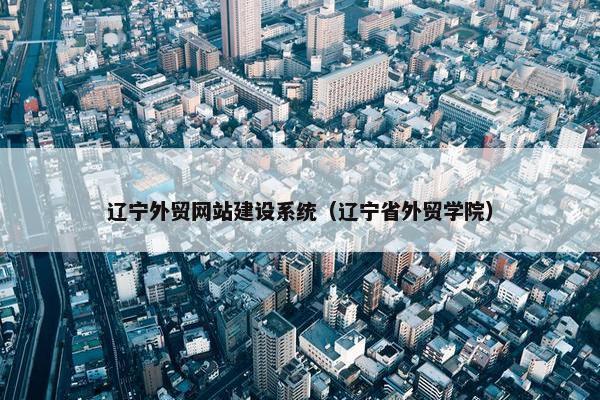 辽宁外贸网站建设系统（辽宁省外贸学院）