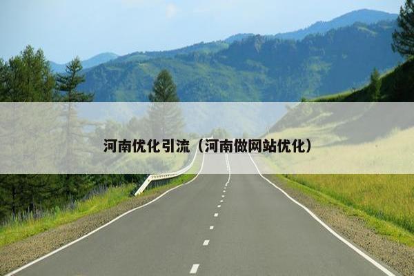 河南优化引流（河南做网站优化）