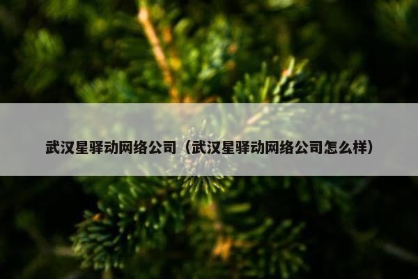 武汉星驿动网络公司（武汉星驿动网络公司怎么样）
