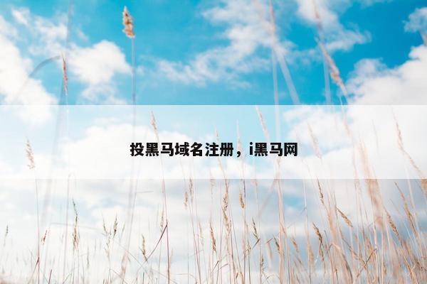 投黑马域名注册，i黑马网