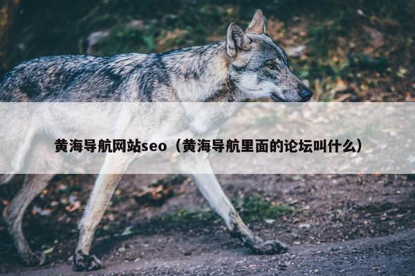 黄海导航网站seo（黄海导航里面的论坛叫什么）