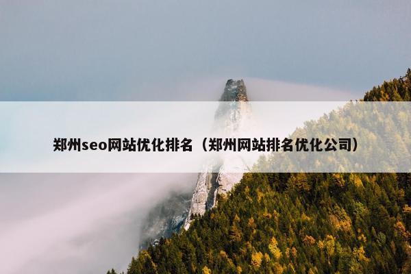 郑州seo网站优化排名（郑州网站排名优化公司）