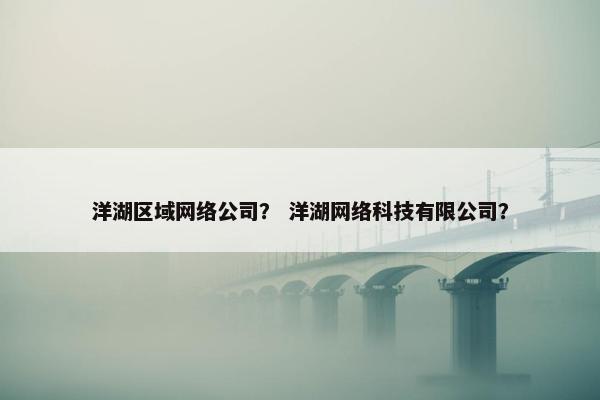 洋湖区域网络公司？ 洋湖网络科技有限公司？